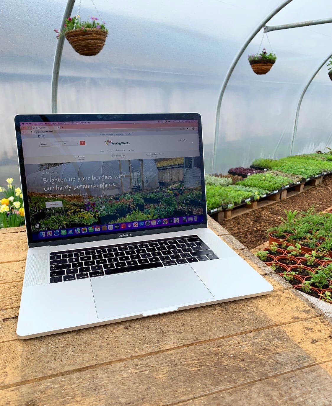 Peachy Plants e-commerce website homepage showcasing plant nursery products and services